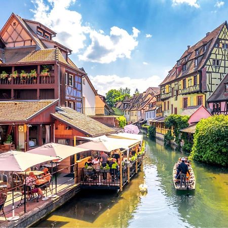 Appartement La Petite Terrasse Sur Les Toits Colmar Eksteriør billede