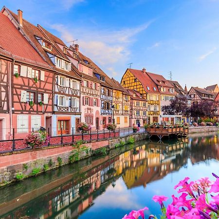 Appartement La Petite Terrasse Sur Les Toits Colmar Eksteriør billede
