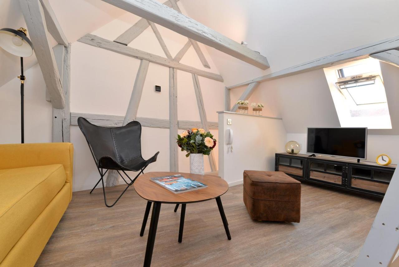 Appartement La Petite Terrasse Sur Les Toits Colmar Eksteriør billede