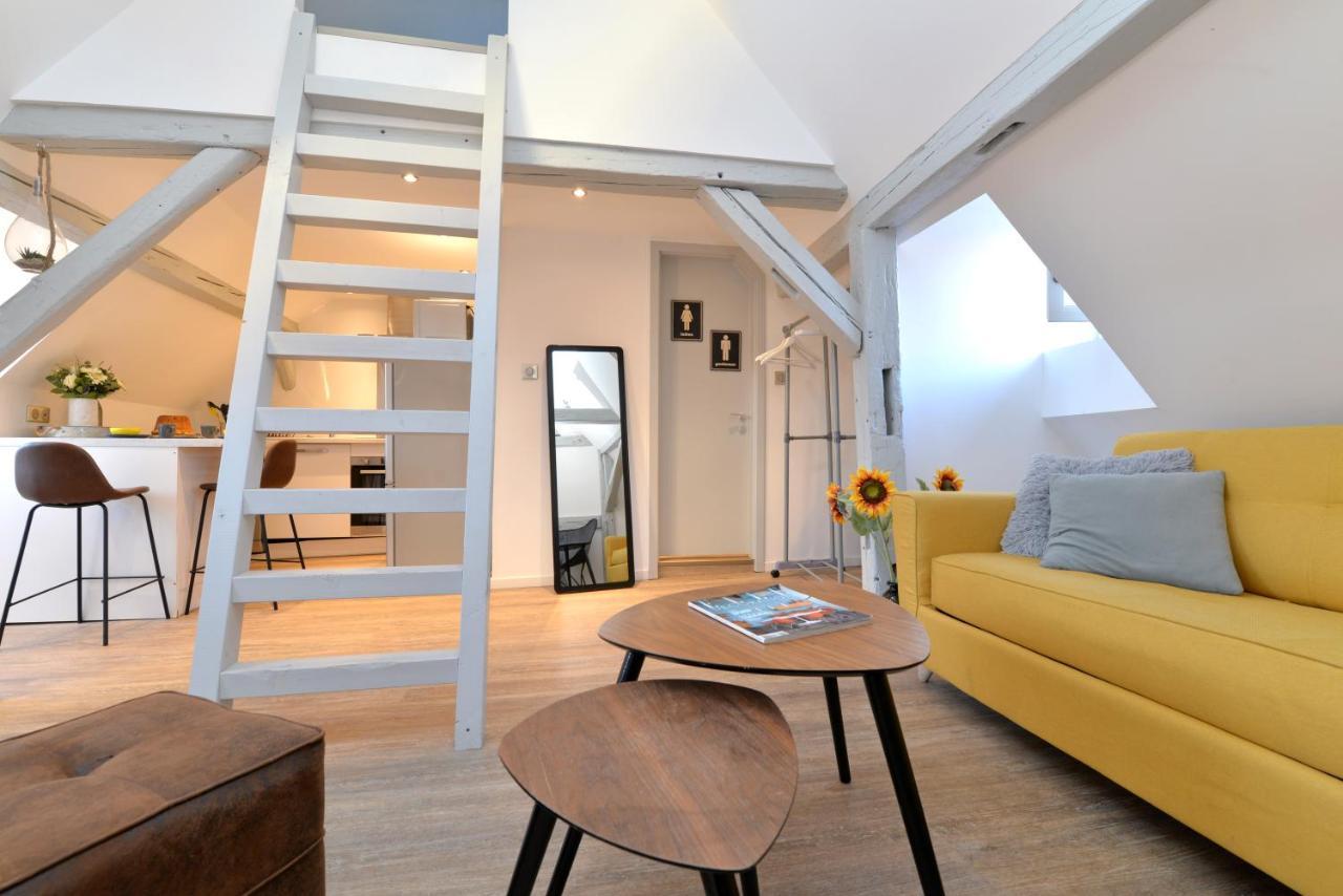 Appartement La Petite Terrasse Sur Les Toits Colmar Eksteriør billede