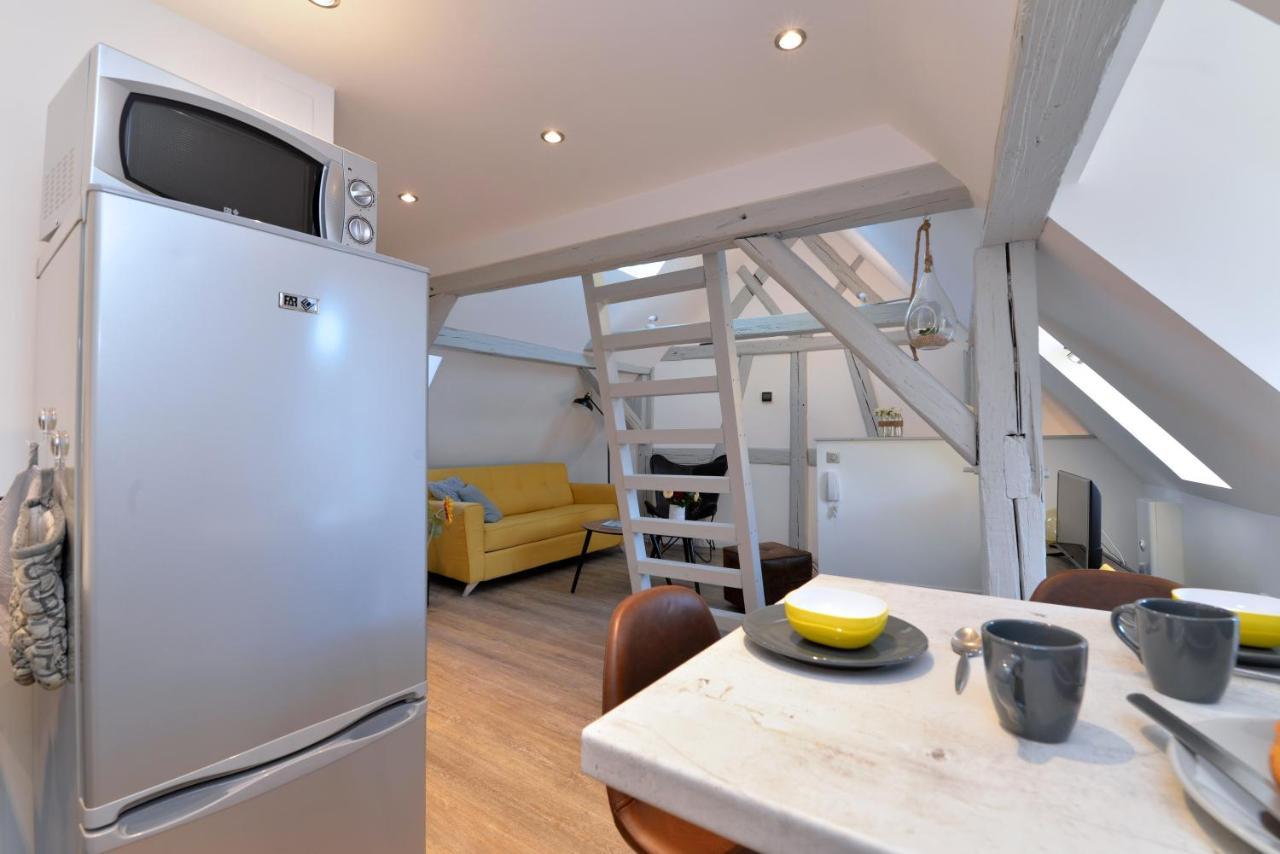 Appartement La Petite Terrasse Sur Les Toits Colmar Eksteriør billede