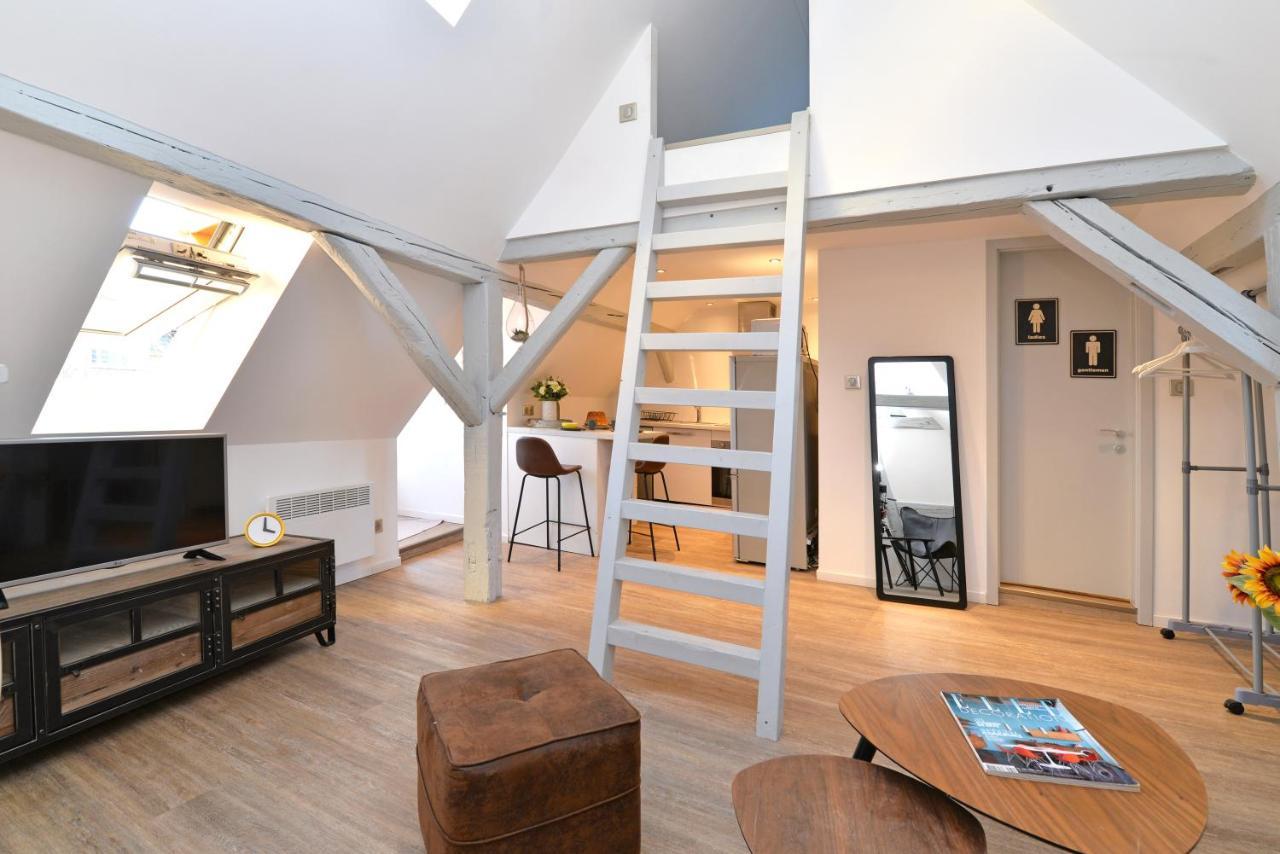 Appartement La Petite Terrasse Sur Les Toits Colmar Eksteriør billede